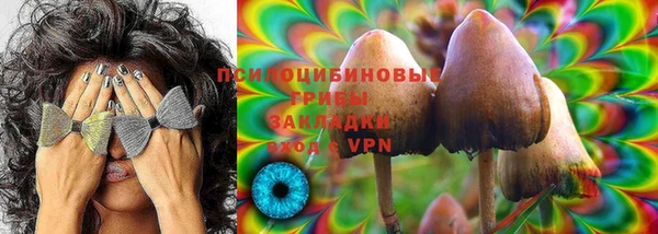 ПСИЛОЦИБИНОВЫЕ ГРИБЫ Балахна