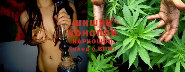 сатива Баксан